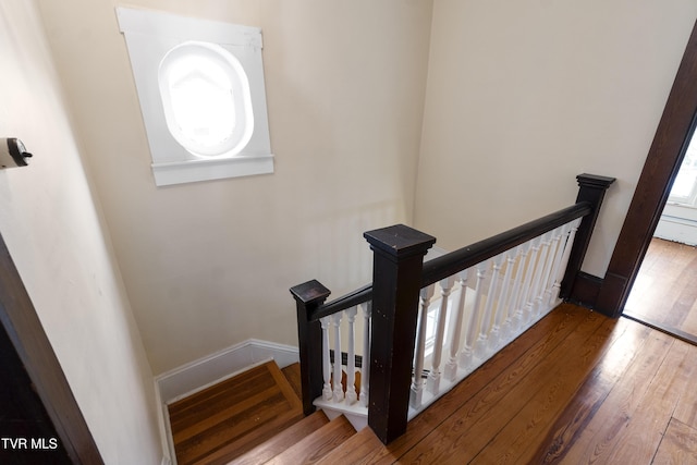 stairs with hardwood / wood-style floors