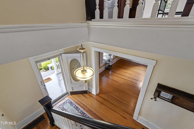 entryway with wood-type flooring