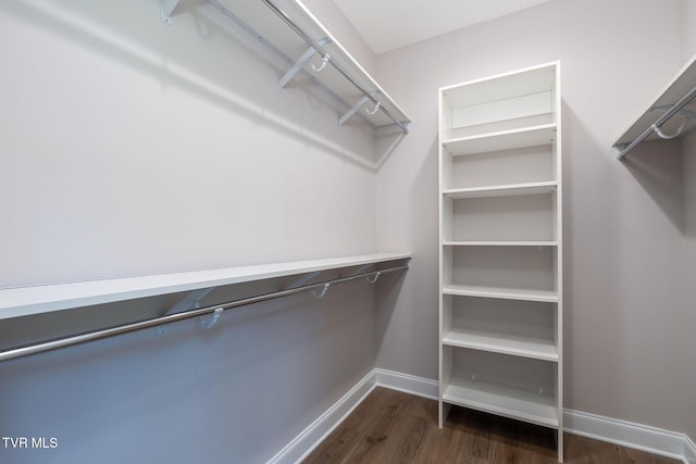 spacious closet featuring dark wood finished floors