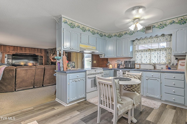 kitchen with ceiling fan, white electric range, light hardwood / wood-style flooring, and sink