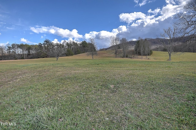 view of yard with a rural view