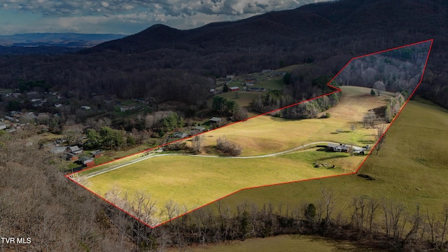 drone / aerial view with a rural view and a mountain view