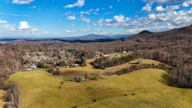 birds eye view of property featuring a mountain view