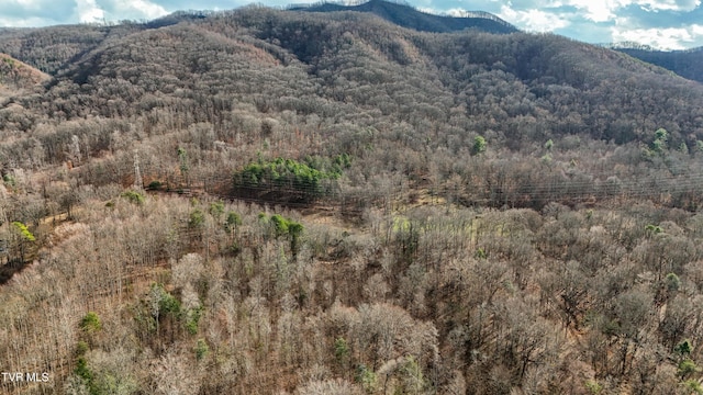 view of mountain feature