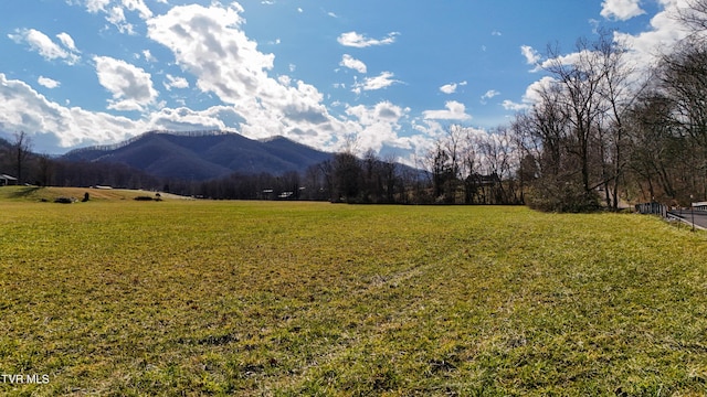 view of mountain feature