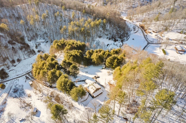 snowy aerial view featuring a water view