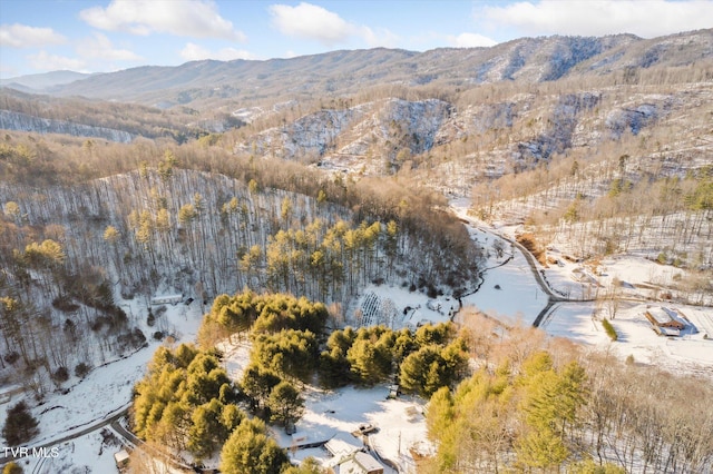 drone / aerial view with a water and mountain view