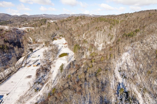 bird's eye view featuring a mountain view