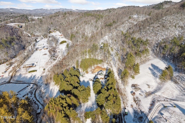 birds eye view of property featuring a mountain view