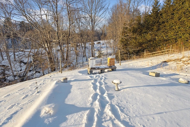 view of yard covered in snow