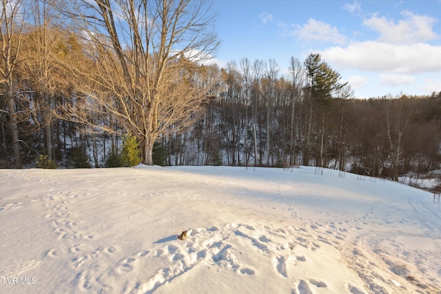 view of yard covered in snow