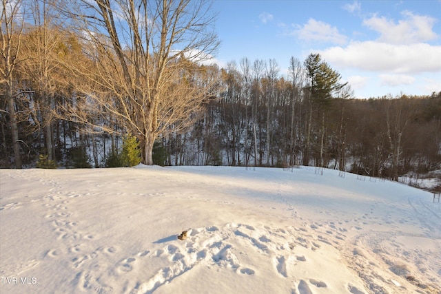 134 Hall Hill Rd, Mountain City, TN 37683 - photo 43