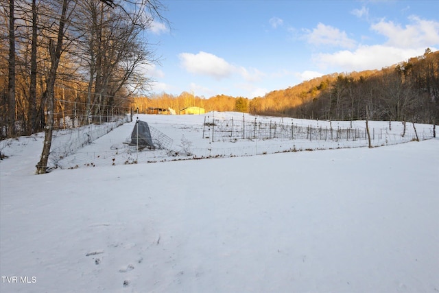 view of snowy yard