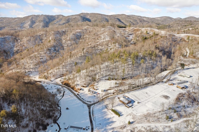134 Hall Hill Rd, Mountain City, TN 37683 - photo 45