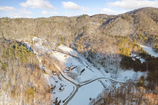 birds eye view of property featuring a water and mountain view