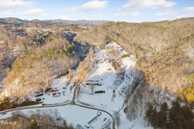 bird's eye view featuring a mountain view