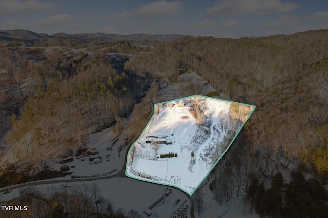 aerial view with a mountain view