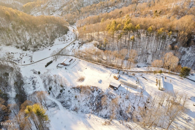 view of snowy aerial view