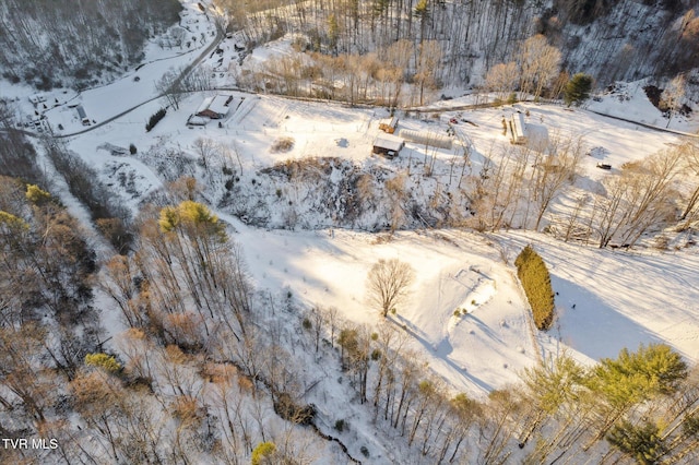 view of snowy aerial view