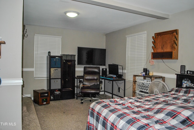 view of carpeted bedroom