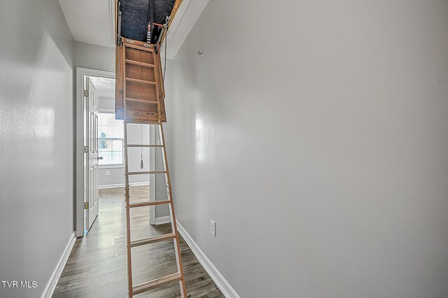 hallway featuring hardwood / wood-style floors