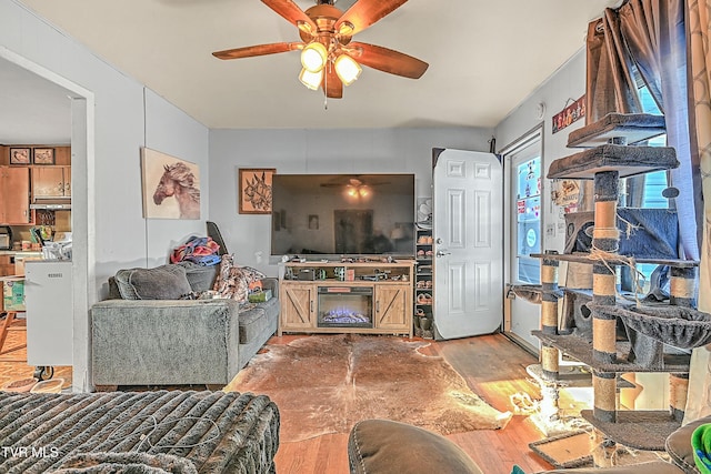 living room featuring ceiling fan and hardwood / wood-style floors