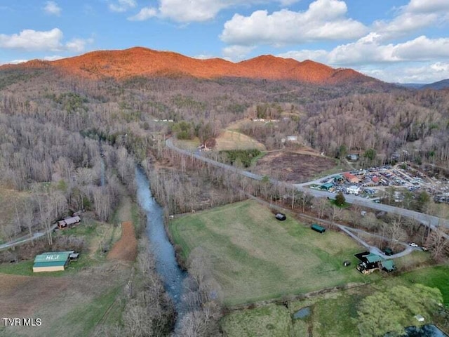 aerial view with a mountain view