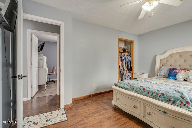 bedroom featuring ceiling fan, hardwood / wood-style flooring, a closet, and a walk in closet