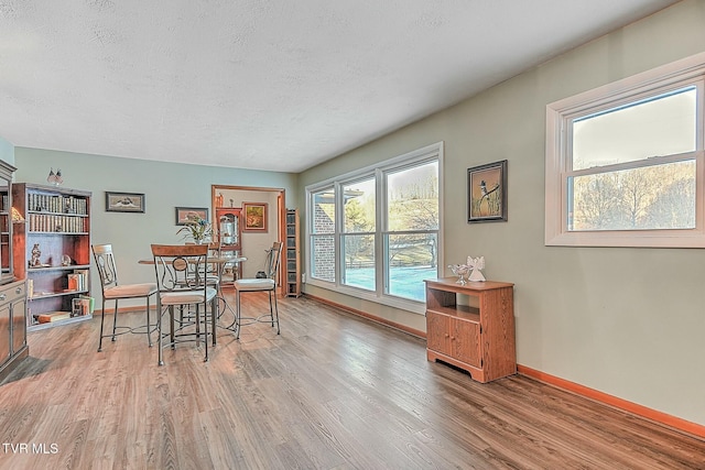 dining room featuring light hardwood / wood-style floors and a textured ceiling