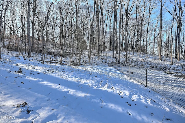 view of yard layered in snow