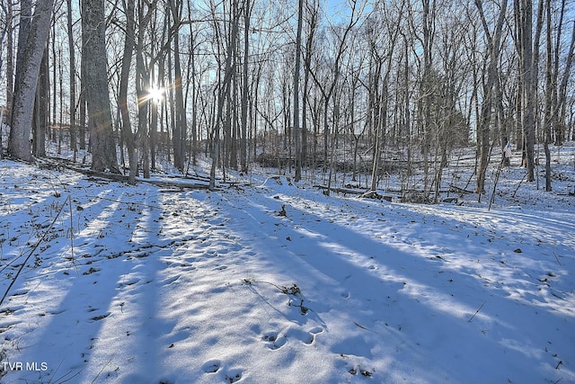 view of snowy yard