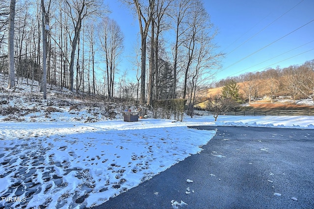 view of yard covered in snow