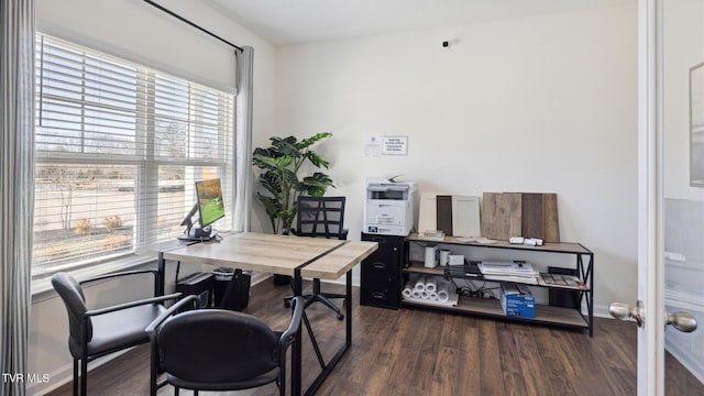 office featuring dark hardwood / wood-style floors