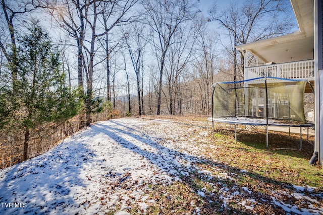 snowy yard with a balcony and a trampoline