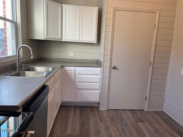 kitchen featuring stainless steel dishwasher, sink, white cabinets, and dark hardwood / wood-style floors