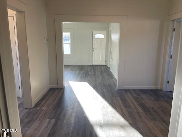 entrance foyer featuring dark hardwood / wood-style floors