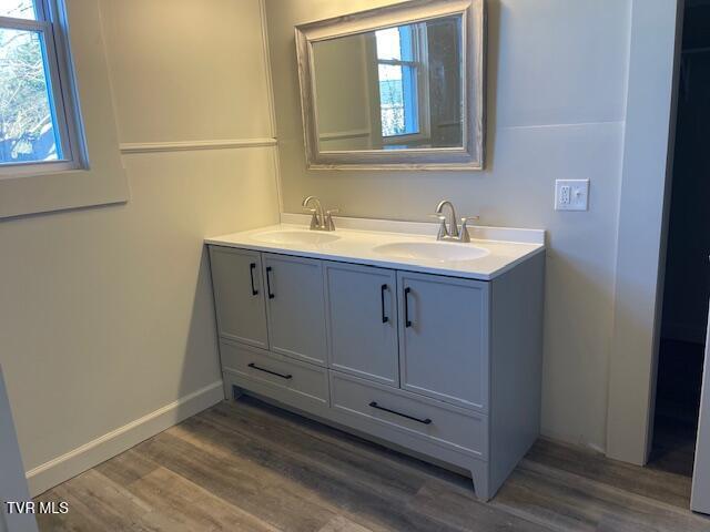 bathroom with vanity and hardwood / wood-style flooring