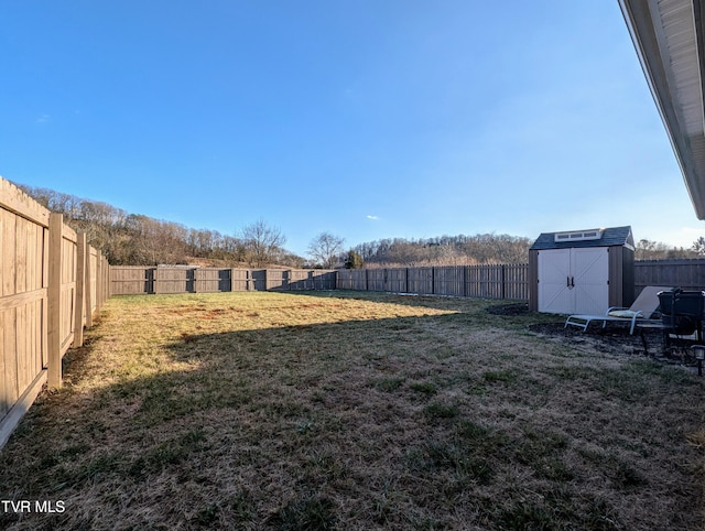 view of yard with a storage unit