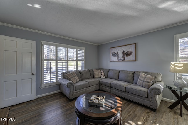 living room with dark wood-type flooring, a textured ceiling, and crown molding