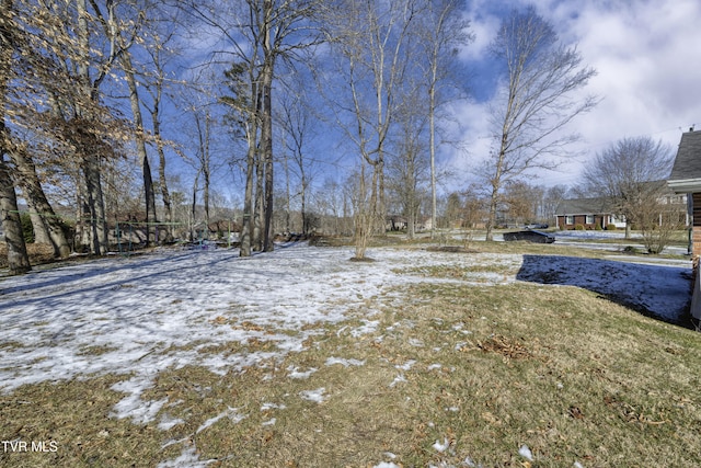 view of yard covered in snow