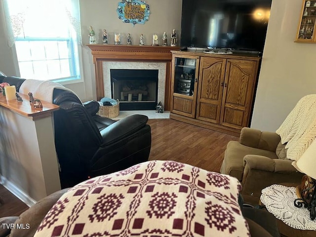 living room featuring a premium fireplace and dark wood-style flooring