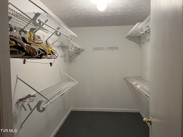 walk in closet featuring carpet flooring