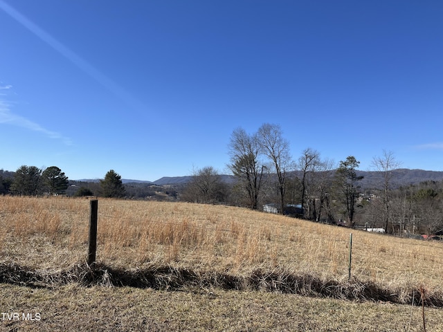 view of yard with a rural view and a mountain view