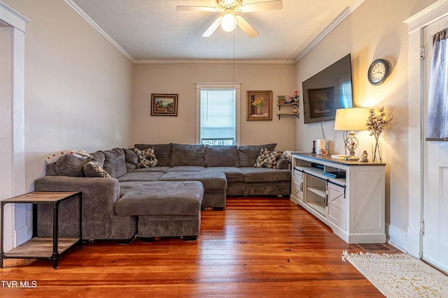 living room featuring hardwood / wood-style flooring, ceiling fan, and ornamental molding