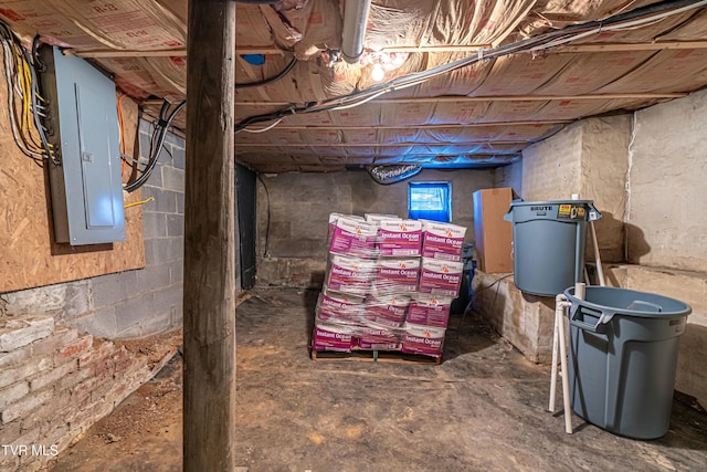 basement featuring electric panel