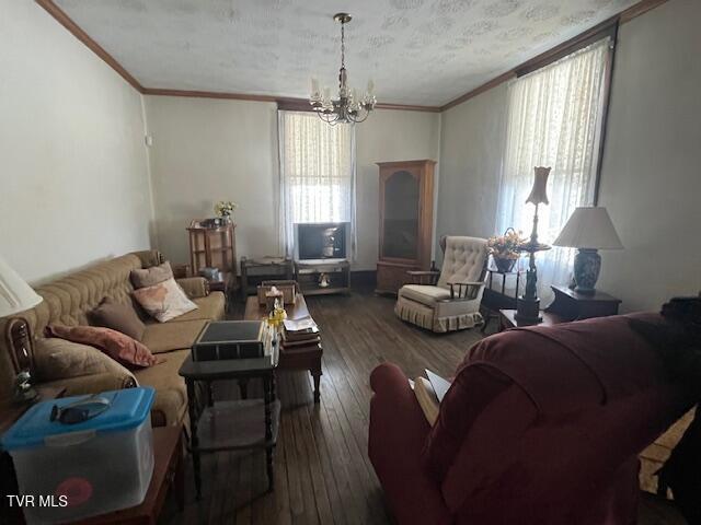 living area with crown molding, a textured ceiling, hardwood / wood-style floors, and an inviting chandelier