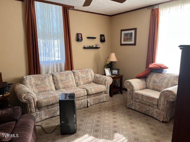 living room featuring a textured ceiling, ceiling fan, ornamental molding, and carpet