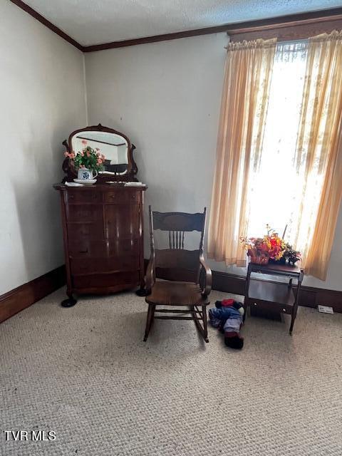 sitting room with a textured ceiling, carpet, and crown molding