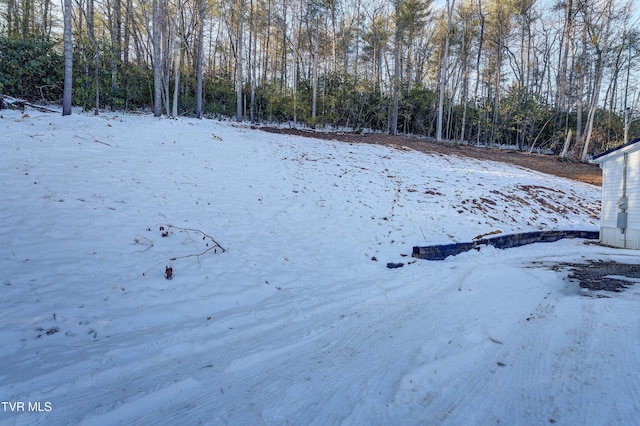 view of yard covered in snow