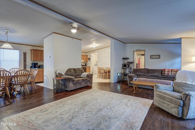 living room featuring ceiling fan, dark hardwood / wood-style flooring, and crown molding